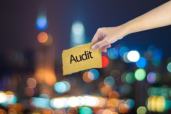 health care audit